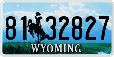 WY license plate 8132827
