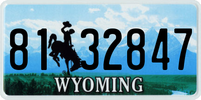 WY license plate 8132847