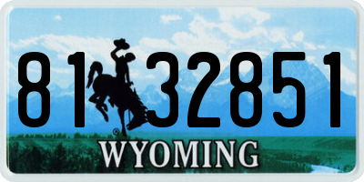 WY license plate 8132851