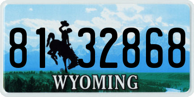 WY license plate 8132868