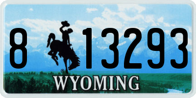 WY license plate 813293