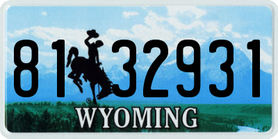 WY license plate 8132931