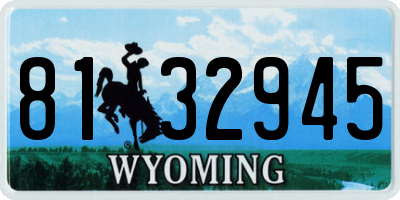 WY license plate 8132945