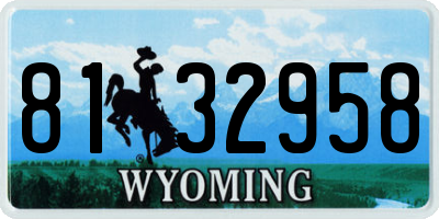 WY license plate 8132958