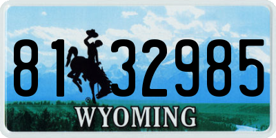 WY license plate 8132985