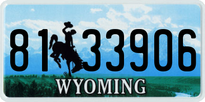WY license plate 8133906