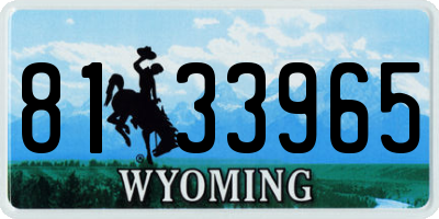 WY license plate 8133965