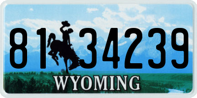 WY license plate 8134239