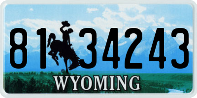 WY license plate 8134243