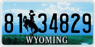 WY license plate 8134829