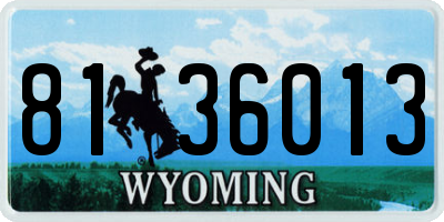 WY license plate 8136013