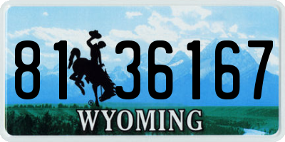 WY license plate 8136167