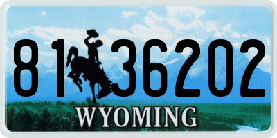 WY license plate 8136202