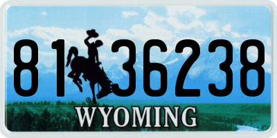 WY license plate 8136238