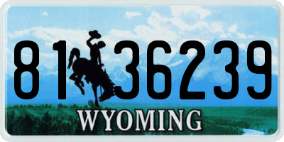 WY license plate 8136239
