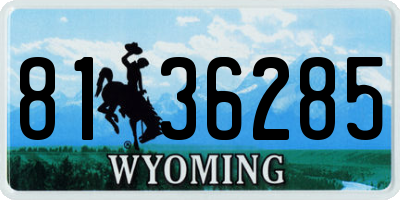 WY license plate 8136285