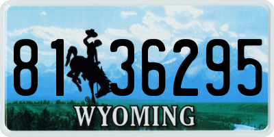 WY license plate 8136295