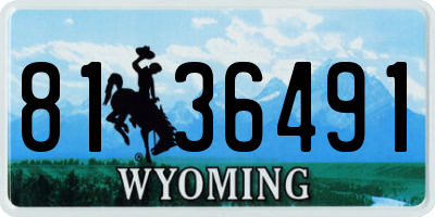 WY license plate 8136491
