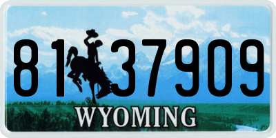 WY license plate 8137909