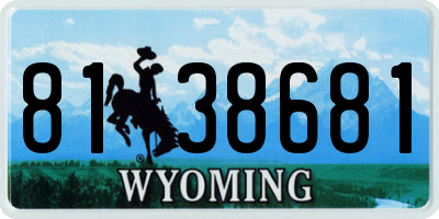 WY license plate 8138681