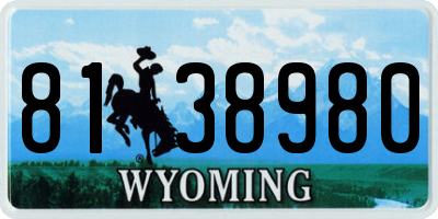 WY license plate 8138980