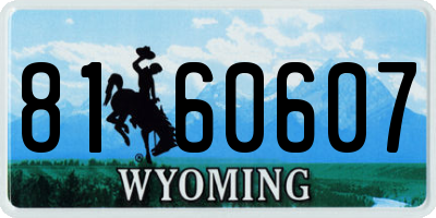 WY license plate 8160607