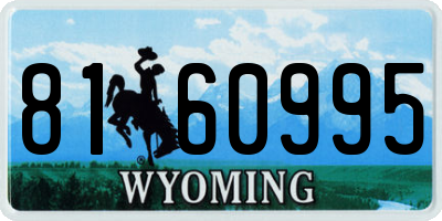WY license plate 8160995