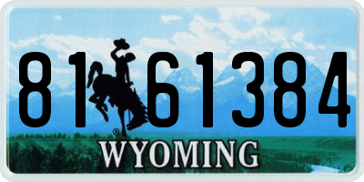 WY license plate 8161384