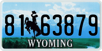 WY license plate 8163879