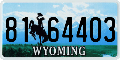 WY license plate 8164403