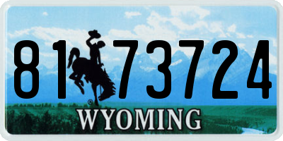 WY license plate 8173724