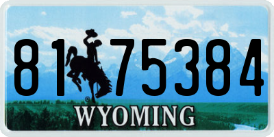 WY license plate 8175384
