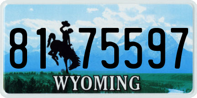 WY license plate 8175597