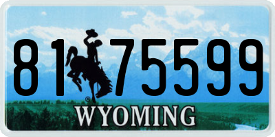 WY license plate 8175599