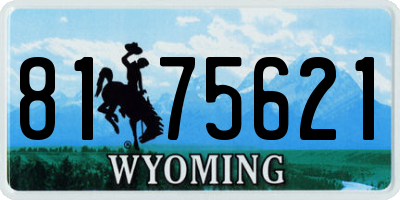 WY license plate 8175621