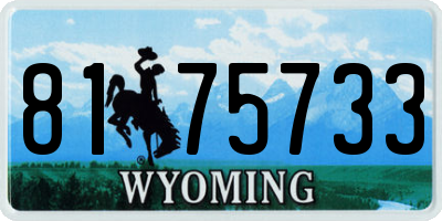 WY license plate 8175733
