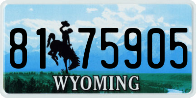 WY license plate 8175905