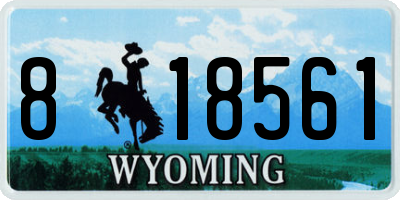 WY license plate 818561