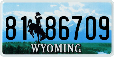 WY license plate 8186709