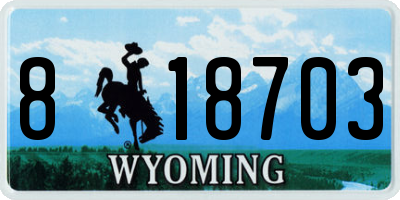 WY license plate 818703