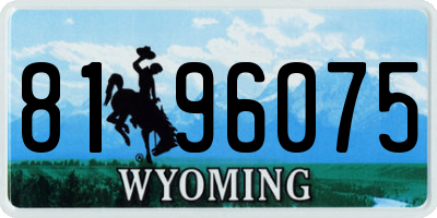 WY license plate 8196075