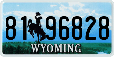 WY license plate 8196828