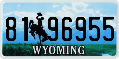 WY license plate 8196955