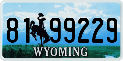WY license plate 8199229