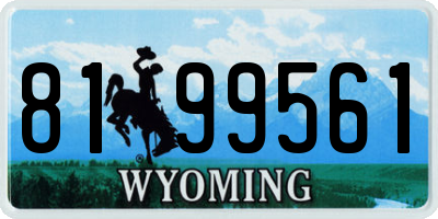 WY license plate 8199561