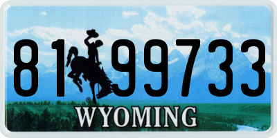 WY license plate 8199733