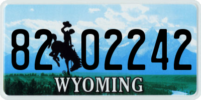 WY license plate 8202242