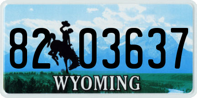 WY license plate 8203637