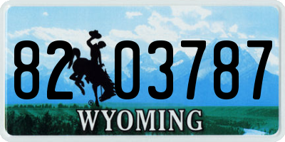 WY license plate 8203787