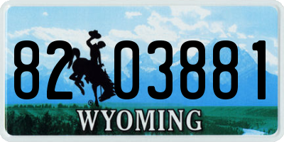 WY license plate 8203881